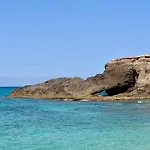 Stefanelli