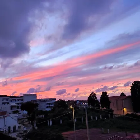 Stefanelli