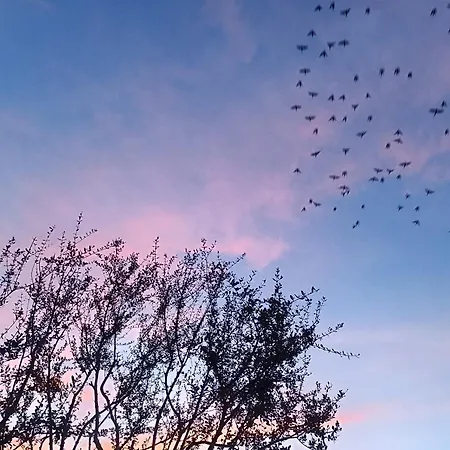 住宿加早餐酒店 Stefanelli 4*