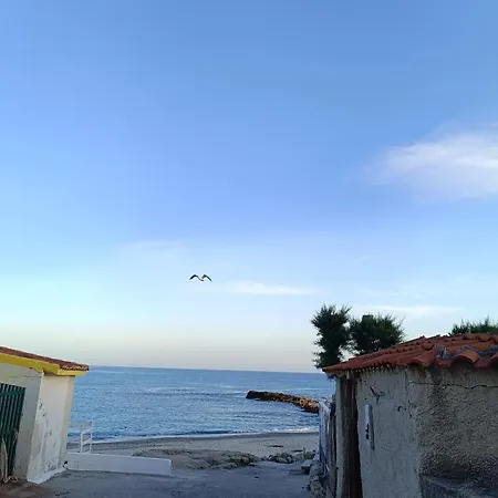 Stefanelli
