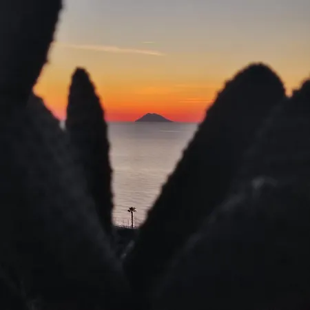 Stefanelli Tropea