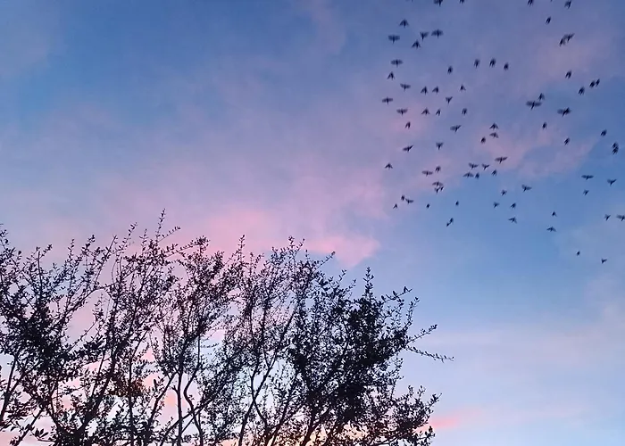 住宿加早餐酒店 Stefanelli 4*